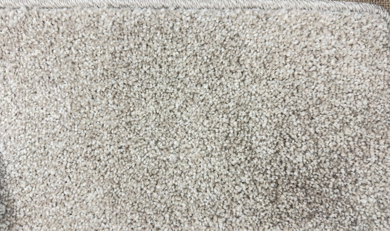 Latte Twist Pile carpet sample